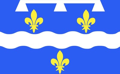 Vlag Loiret 100x150cm