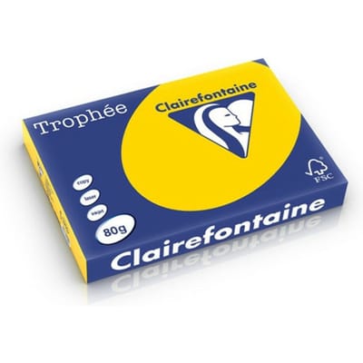 Clairefontaine Trophée Pastel, gekleurd papier, A4, 80 g, 500 vel, goudgeel