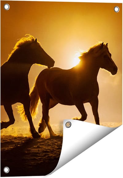 Gards Tuinposter Silhouet van Twee Paarden - 40x50 cm - Tuindoek - Tuindecoratie - Wanddecoratie buiten - Tuinschilderij