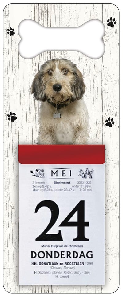 Scheurkalender 2027 Hond: Petit Basset Griffon VendÃ©en