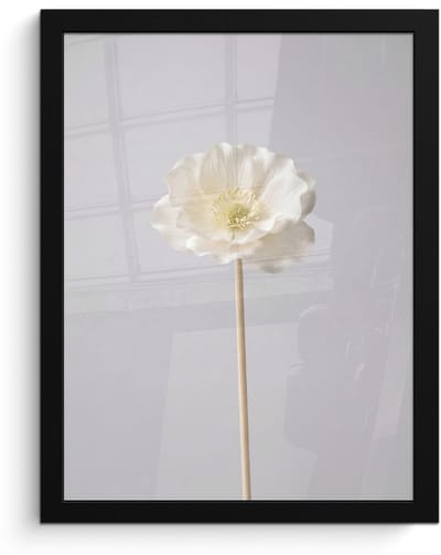 Poster in lijst - Fotolijst 30x40 cm - Posters - Bloem - Minimalistisch -Wit - Posterlijst zwart - Decoratie - Wanddecoratie woonkamer - Muurdecoratie slaapkamer