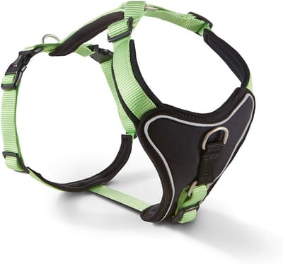 Comfortabel Padded Hondentuigje Zacht Neopreen Kiwi Zwart Borstmaat 40-45 cm