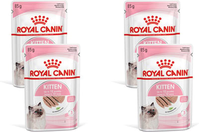 Royal Canin - Kitten Loaf Kattenvoer Nat - 48 x 85 gr