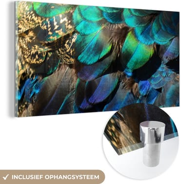 MuchoWow® Glasschilderij 40x20 cm - Schilderij acrylglas - Veren - Pauwveren - Pauw - Blauw - Kunst - Foto op glas - Schilderijen