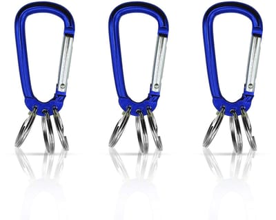 Dailygoods - Karabijnhaak Sleutelhanger Set van 3 - Sleutelorganizer en Sleutelhanger