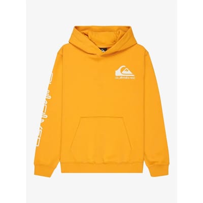 Junior Hoodie Quiksilver Omni Logo