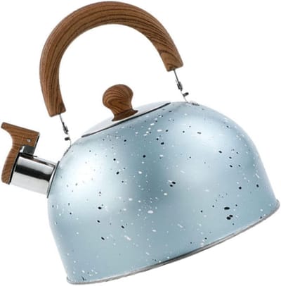 Roestvrijstalen waterkoker - Fluitketel waterkoker - Snel water koken - Grote capaciteit 2 liter - 20x20x20 cm - Blauw