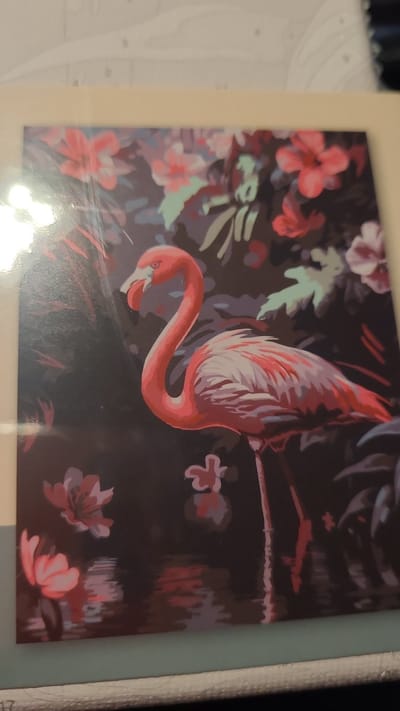 Schilderen op nummer- Roze Flamingo- schilderset Opgespannen canvasdoek