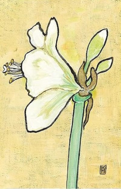 Dubbele kaart met env. Amaryllis 11,5x17,5cm