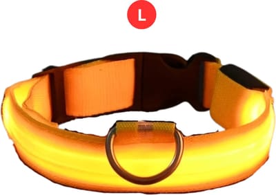 Nivard Lichtgevende Halsband - Verlichte Halsband - Lichtgevend - Hond - Kat - Lampje - Hondenhalsband Led - Nekband - Geel L