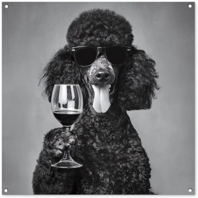 Tuinposter 100x100 cm - Tuindecoratie Hond - Krullen - Zonnebril - Wijn - Poster voor in de tuin - Buiten decoratie - Schutting tuinschilderij - Tuindoek muurdecoratie - Wanddecoratie balkondoek