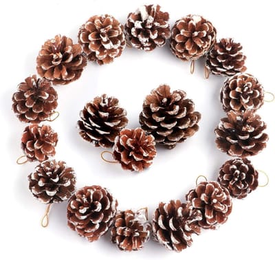 30 Stuks Natuurlijke Dennenappels 4-6 cm met Ketting voor Cadeaulabels, Kransen en Decoratie voor de Kerstboom