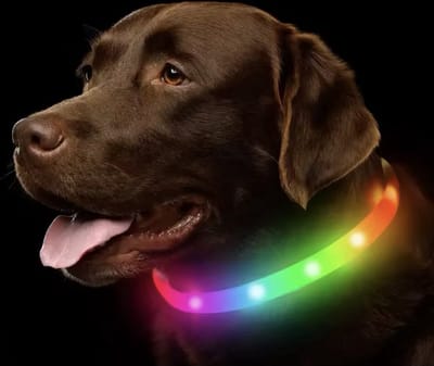 Lichtgevende LED Halsband Hond - Maat L - Hondenriem Verlichting Oplaadbaar - Volledig verstelbaar tot 65 cm - Hondenverlichting Halsbanden Lichtgevend - LED Verlichting met meerdere standen - Multicolor