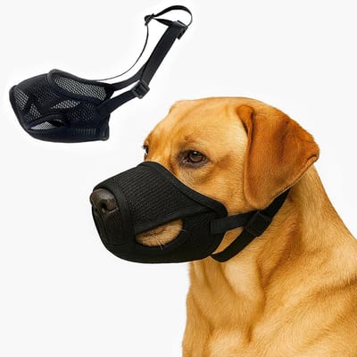Ademend Net voor Honden – Anti-Bijt, Anti-Haaruitval, Anti-Aaseter – Gemakkelijk Schoon te Maken/Verwijderen – Gemakkelijk te Knippen – Schuurt Niet (XL)