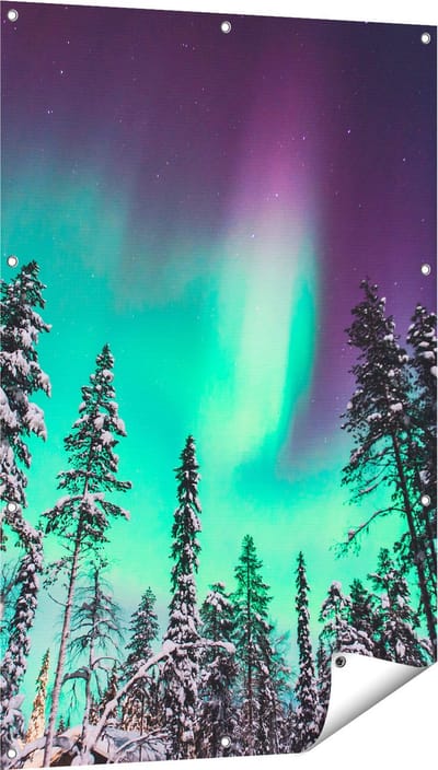 Gards Tuinposter Noorderlicht in de Bossen van Noorwegen - 80x120 cm - Tuindoek - Tuindecoratie - Wanddecoratie buiten - Tuinschilderij