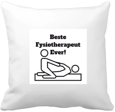 Akyol - beste fysiotherapeut Kussen hoes - Beste fysiotherapeut - therapeut - cadeau - 40 bij 40 cm