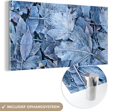 MuchoWow® Glasschilderij 120x60 cm - Schilderij acrylglas - Winter - Bladeren - IJs - Seizoenen - Foto op glas - Schilderijen