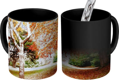 Magische Mok - Foto op Warmte Mokken - Koffiemok - Herfst - Bomen - Bladeren - natuur - Magic Mok - Beker - 350 ML - Theemok