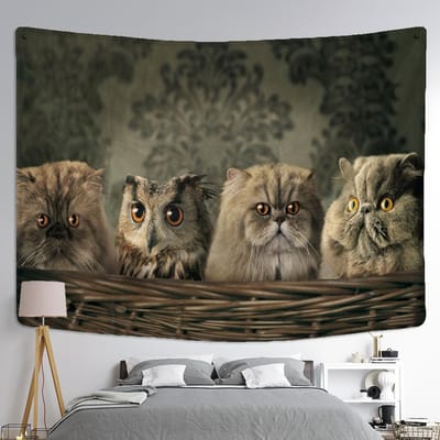 Kat en Uil Wandtapijt Wandhanger Bohemien Schattig Huisdier Eenvoudig Verwarde Ogen Hippie Tafelmat Slaapkamer Huisdecoratie 95x70CM