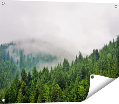 Gards Tuinposter Groen Bos met Bomen tijdens de Mist - 80x60 cm - Tuindoek - Tuindecoratie - Wanddecoratie buiten - Tuinschilderij
