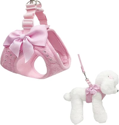 LISM-Hondentuigje en riem set, ruitvormig gaas, ademend en lichtgewicht, comfortabel om mee te wandelen. Geschikt voor kleine honden en katten (maat M).