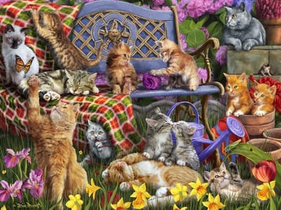 Legpuzzel Katten - Puzzel 550 stukjes - Ontspanning thuis - Gemaakt van gerecycled materiaal - 61 x 46 cm