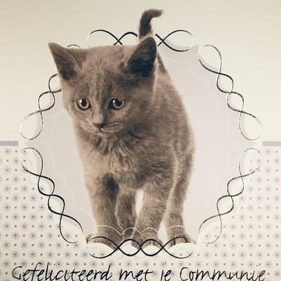 Luxe Wenskaart Communie - Art of Cards - 14x14cm - Dubbele Kaart - Met Envelop - Luxe Wens Kaart - Heilige Communie - Greeting Card - 1 Stuks - In Folie Apart Verpakt - Communion - Gemeinschaft - Gratis Verzonden - Hoge Afnamekortingen