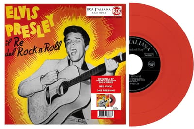 Il Re Del Rock 'N' Roll