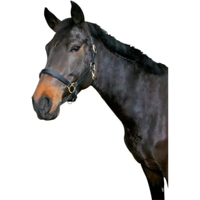 Covalliero Lederen Halster Zwart Full