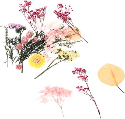 Droogboeket Bloemen - Gedroogde Lelie - Ambachtelijk Knutselen - Natuurlijk en Veilig - 6.5cm x 1.4cm - Roze