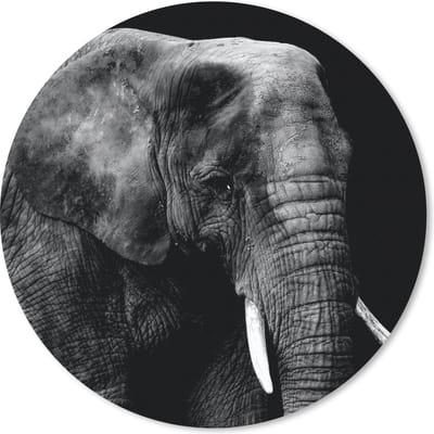 Muismat rond 20x20 cm - Mousepad Olifant - Dieren - Zwart - Wit - Ronde muismatten