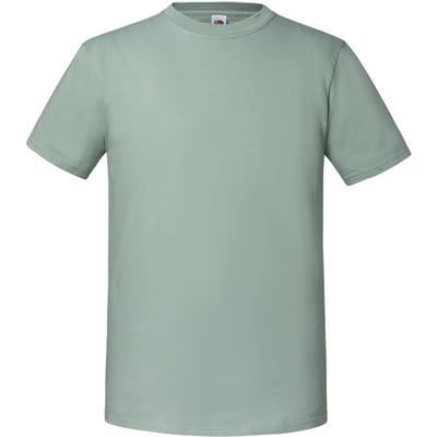 Fruit of the Loom Heren Iconic Premium Ringspun Katoen T-Shirt (Salie)