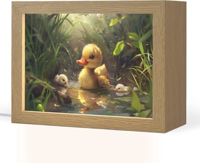 Nachtlampje 20x15 cm - Kinder lampje - Eendjes - Dieren - Natuur - Tafellamp kinderkamer - Slaapkamer lamp - Bedlamp kinderen - Kinderlampje stopcontact - Wandlamp babykamer - Nachtlampjes