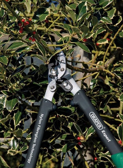 230 mm rechthoekige tuinschaar met glasvezel handgrepen - Anvil-Patroon Loppers 530 mm 530 mm