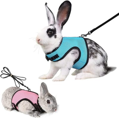 Verstelbaar Harnas met Leash voor Konijnen en Kittens - Ademend Mesh, 2 Stuks, Comfortabel en Veilig
