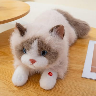 Simulation Chat Ragdoll Peluche Jouet Chat Féerique Poupée Peluche Visage Marron et Blanc Ragdoll Peluche Chat Décoration Maison Jouets Poupée Chat Noir about 40-45cm