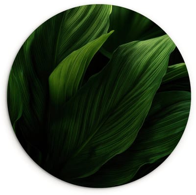 WallCircle® Wandcirkel 120x120 cm - Muurcirkel Bladeren - Schaduw - Groen - Textuur - Muurdecoratie woonkamer - Wanddecoratie slaapkamer - Kamer decoratie accessoires - Ronde schilderijen XXL