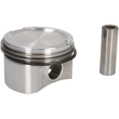 Zuiger MAHLE 009 41 00