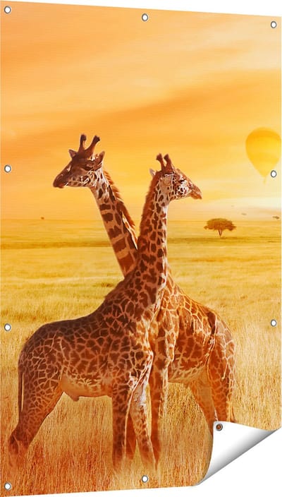 Gards Tuinposter Twee Giraffen met Twee Oranje Luchtballonnen - 80x120 cm - Tuindoek - Tuindecoratie - Wanddecoratie buiten - Tuinschilderij