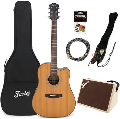 Elektrisch-akoestische gitaar - incl. versterker - Fazley Delora CE - Hout
