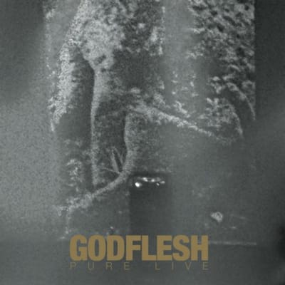 Godflesh - Pure Live (2 LP) (Coloured Vinyl)