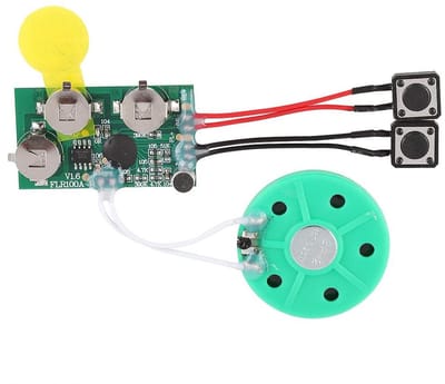 Dailygoods- Geluidschip 120s Opneembaar - Spraakmodule - Knopgeluidsmodule - DIY Wenskaartchip - Creatief voor Uitnodigingen - Eenvoudige Bediening