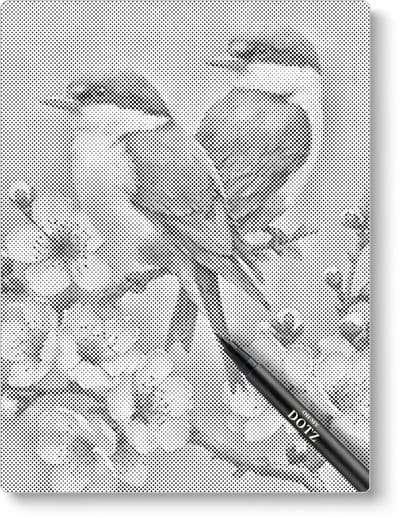 Zwaluwen Op Bloesem | Dot painting | 30x40cm | Dot painting | Oh My Dotz | Dots stippen | Diamond painting & Schilderen op nummer alternatief | Happy hobby