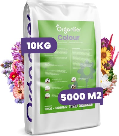 Plukbloemen Mengsel - 32 soorten (10kg, 5000m2) - Snijbloemen - Snijbloemen Zaad - Bloemenweide - Inheemse Zaden - Bloemen - Bloemzaden - Bloemzaadjes - Plukbloemen Zaad - Colour - Organifer