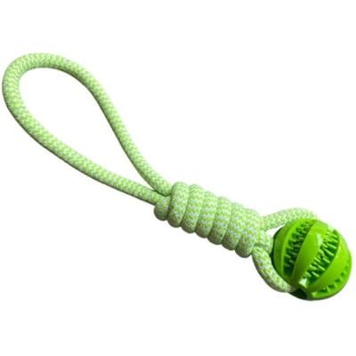 Jouets interactifs pour chiens, balles avec corde à friandises et caoutchouc pour chiens de petite et moyenne taille, résistants aux morsures, nettoyage des dents des animaux vert