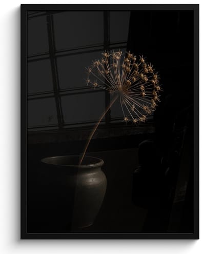 Poster in lijst - Fotolijst 60x80 cm - Posters - Bol - Gedroogd - Vaas - Zwart - Posterlijst zwart - Decoratie - Wanddecoratie woonkamer - Muurdecoratie slaapkamer