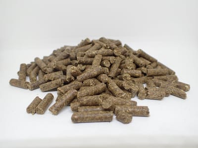 BoGi Voeders 052 Schapenkorrel - 20 kg - schapenvoer