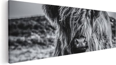 Artaza Canvas Schilderij Hooglander - 60x20 cm - Schilderijen Dieren - Muurdecoratie Woonkamer - Schilderijen Op Canvas