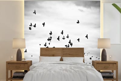 Behang - Fotobehang Dieren - Vogels - Wolken - Zwart - Wit - Breedte 300 cm x hoogte 300 cm