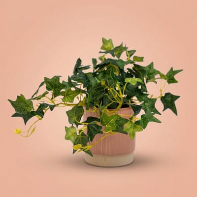 Ivy Hedera - Hangplant in pot - Kunstplant - Groen - ↑ 19 cm